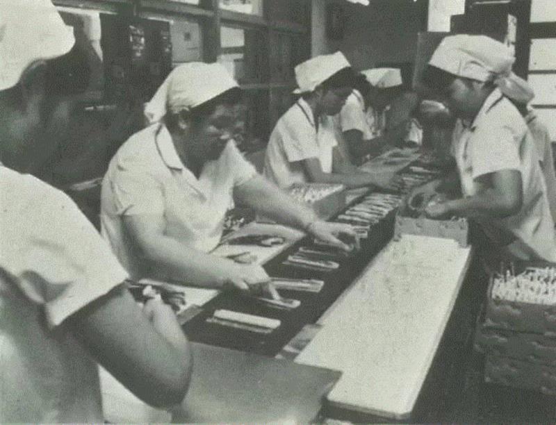 动物毛牙刷，是惠百施从1896年创立之初就在制作的牙刷种类。,马毛、山羊毛、獾毛做成的牙刷，畅销日本100多年,牙刷,日本,马毛,山羊,动物,惠百施,牙齿,牙龈,牙膏,特惠