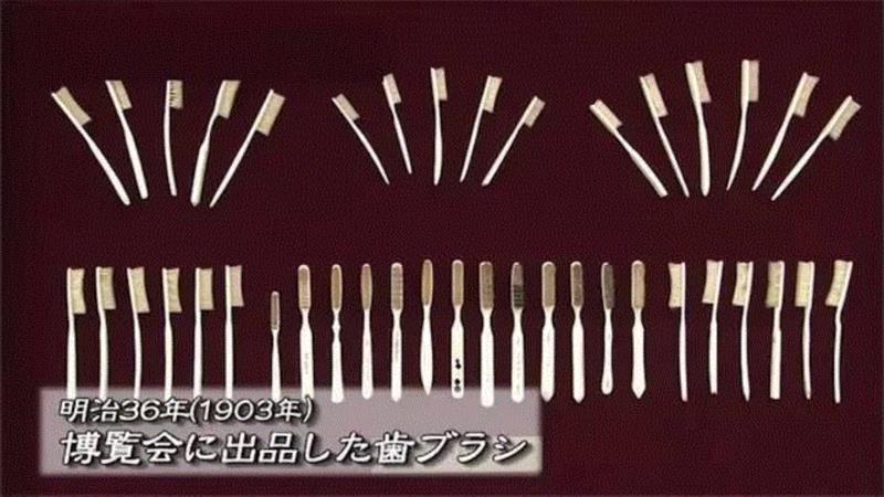 1903年日本博览会展出的惠百施牙刷,马毛、山羊毛、獾毛做成的牙刷，畅销日本100多年,牙刷,日本,马毛,山羊,动物,惠百施,牙齿,牙龈,牙膏,特惠