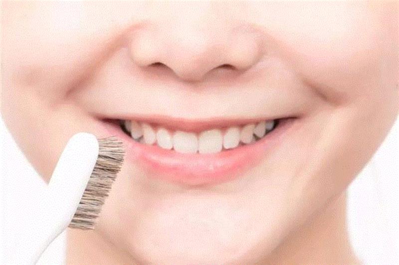 马毛、山羊毛、獾毛做成的牙刷，畅销日本100多年,牙刷,日本,马毛,山羊,动物,惠百施,牙齿,牙龈,牙膏,特惠