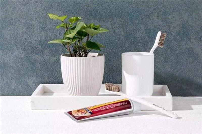 马毛、山羊毛、獾毛做成的牙刷，畅销日本100多年,牙刷,日本,马毛,山羊,动物,惠百施,牙齿,牙龈,牙膏,特惠