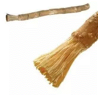 树枝牙刷 图片源于网络,马毛、山羊毛、獾毛做成的牙刷，畅销日本100多年,牙刷,日本,马毛,山羊,动物,惠百施,牙齿,牙龈,牙膏,特惠