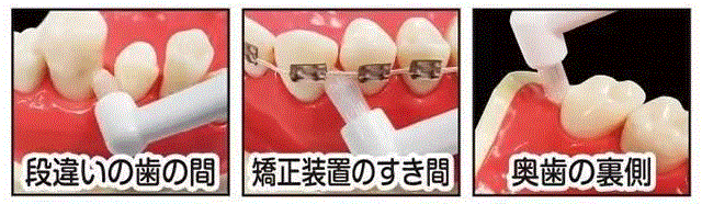 马毛、山羊毛、獾毛做成的牙刷，畅销日本100多年,牙刷,日本,马毛,山羊,动物,惠百施,牙齿,牙龈,牙膏,特惠