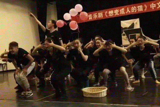 孙红雷凭什么对这部音乐剧指手划脚?,孙红雷,音乐剧,姬莉安,日本,四季,史瓦格,原版,北京,中文版,片段