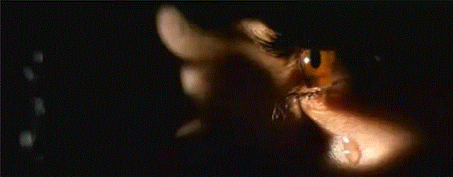 这部限制级美国电影，尺度堪比西西里的美丽传说,美国,电影,限制,尺度,西西里,传说,亚当,凯瑟琳,青春期,总统