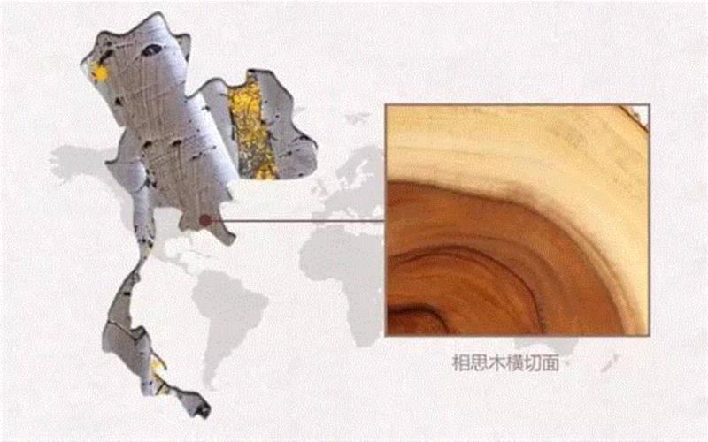 红遍INS的摆盘美学，都离不开这款相思木砧板,砧板,相思,INS,美学,泰国,工艺,选材,LIVING,国学,拼接