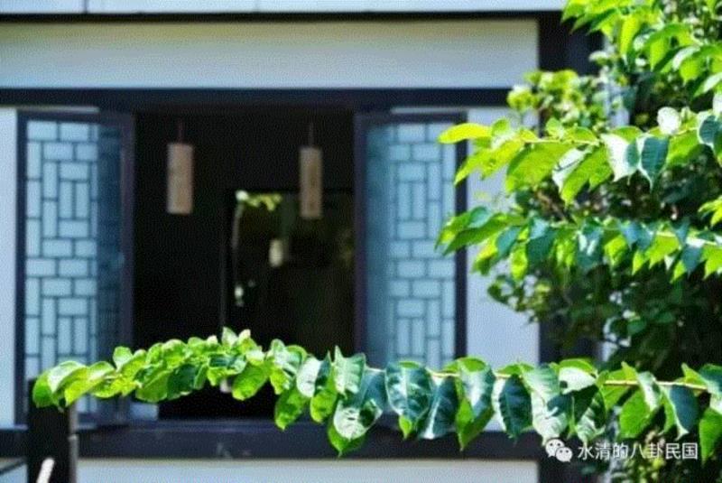 徐志摩陆小曼：不被祝福的爱情后来都怎么样了