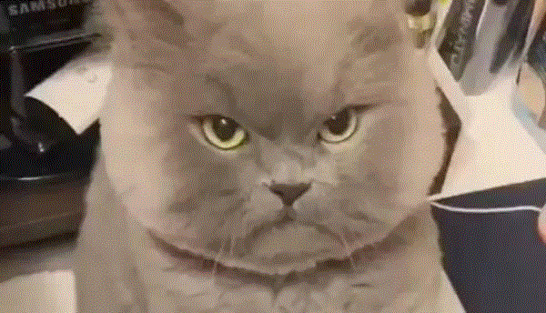 朴树：历尽千帆终不悔，归来白衣作少年。