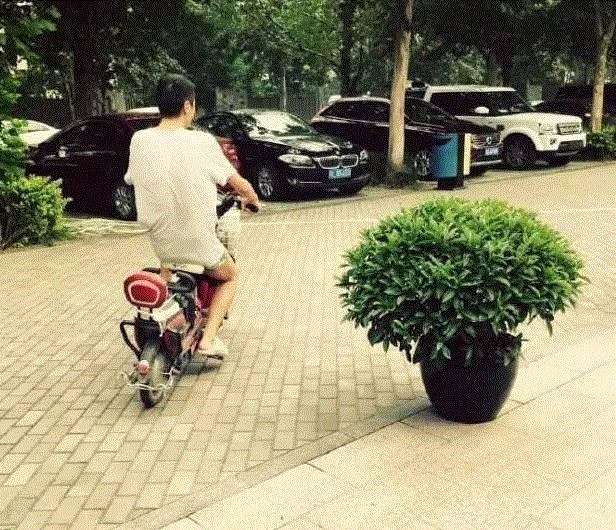 朴树：历尽千帆终不悔，归来白衣作少年。