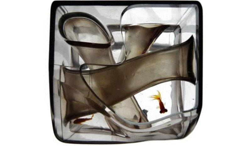 你，过来，来我屋里