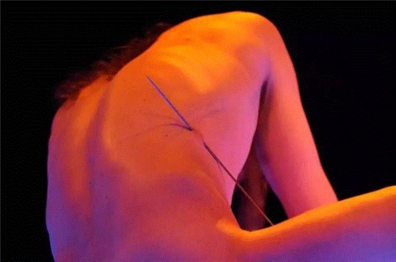 身体的，太身体的 | Yann Marussich的行为剧场