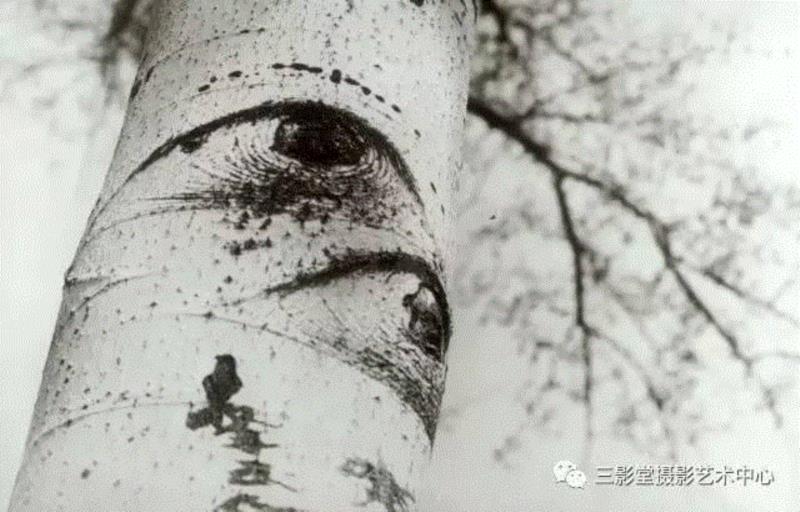 巫鸿丨中国当代摄影40年（一）—— 1976-1979