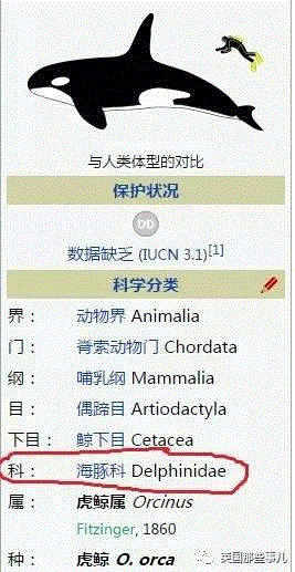 小松鼠居然会自己晒蘑菇干吃，胖胖企鹅也有大长腿，好吧这波动物你们赢了...