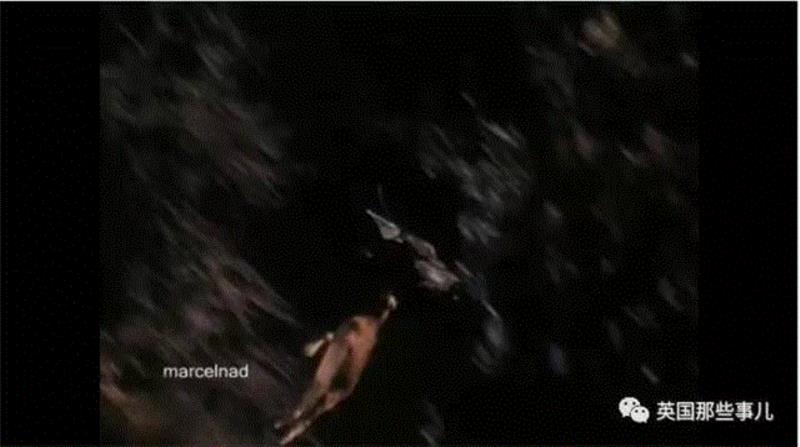 小松鼠居然会自己晒蘑菇干吃，胖胖企鹅也有大长腿，好吧这波动物你们赢了...