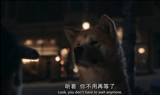哪部电影的哪一幕让你直接泪崩了？