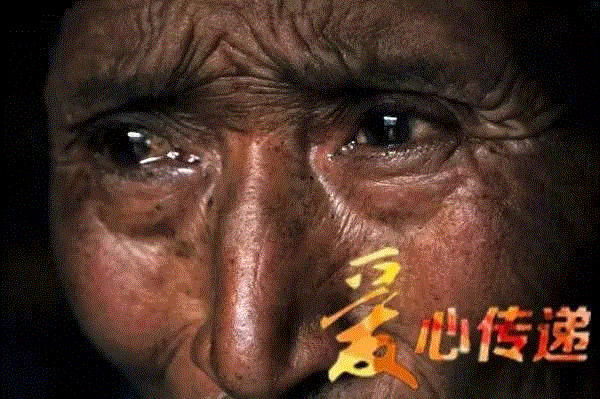 山西枣农面临的一场大考！最后10天，枣子卖不完就喂牛羊了！这是一份爱心接力，需要您传递！