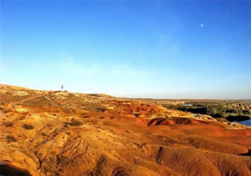 山西枣农面临的一场大考！最后10天，枣子卖不完就喂牛羊了！这是一份爱心接力，需要您传递！