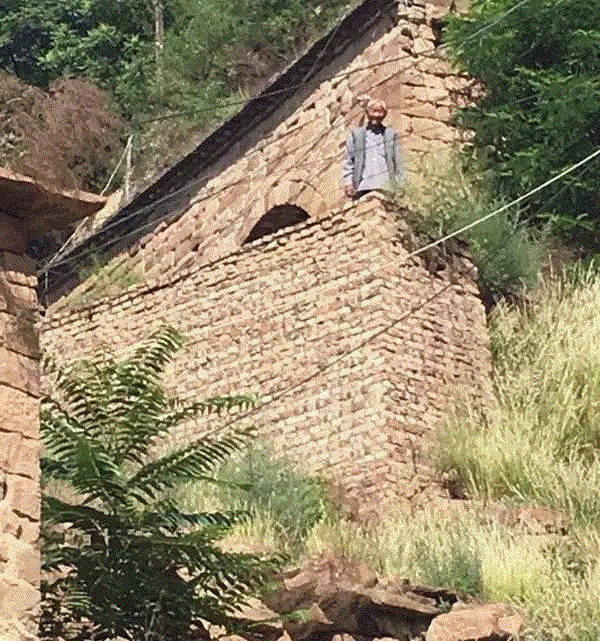 山西枣农面临的一场大考！最后10天，枣子卖不完就喂牛羊了！这是一份爱心接力，需要您传递！