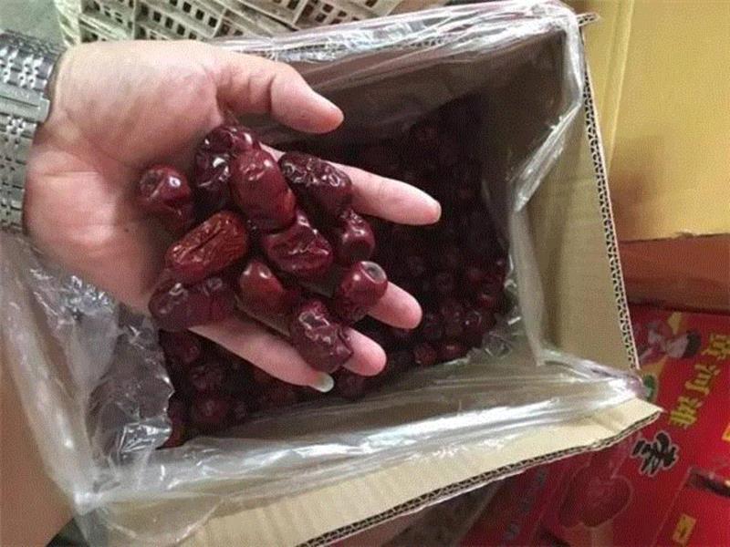 山西枣农面临的一场大考！最后10天，枣子卖不完就喂牛羊了！这是一份爱心接力，需要您传递！