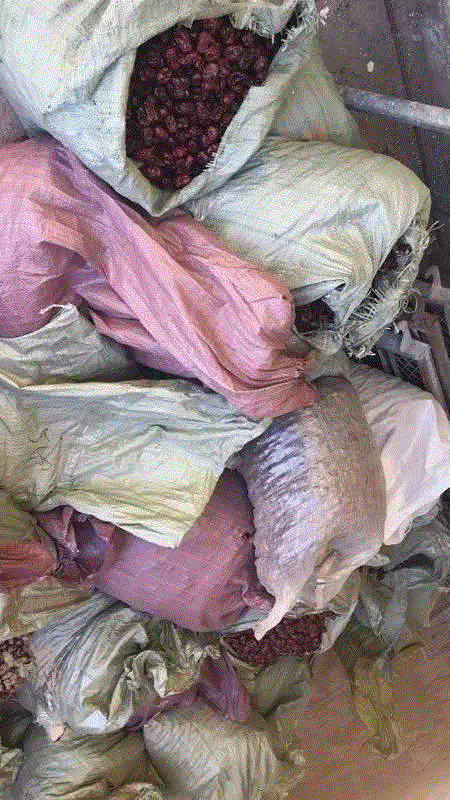 山西枣农面临的一场大考！最后10天，枣子卖不完就喂牛羊了！这是一份爱心接力，需要您传递！