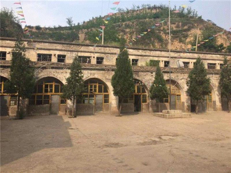 山西枣农面临的一场大考！最后10天，枣子卖不完就喂牛羊了！这是一份爱心接力，需要您传递！