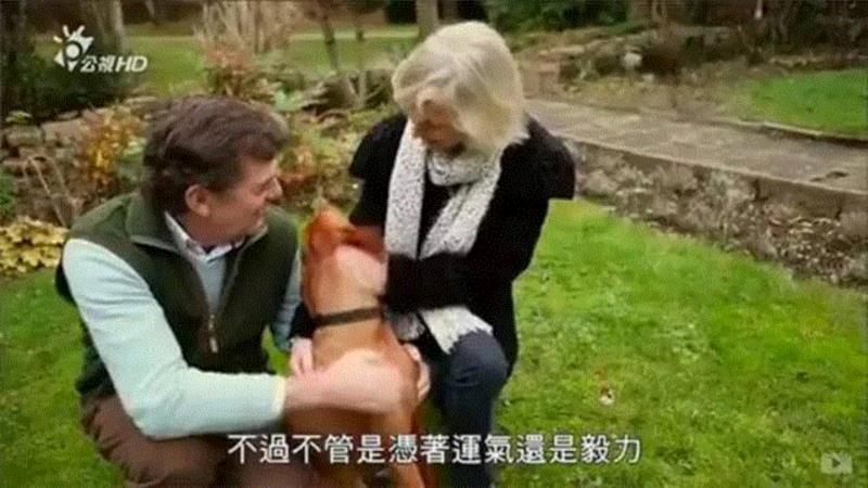 残酷现实：穷人的孩子打破不了阶级固化？