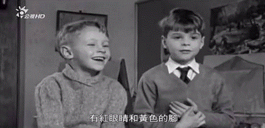 残酷现实：穷人的孩子打破不了阶级固化？