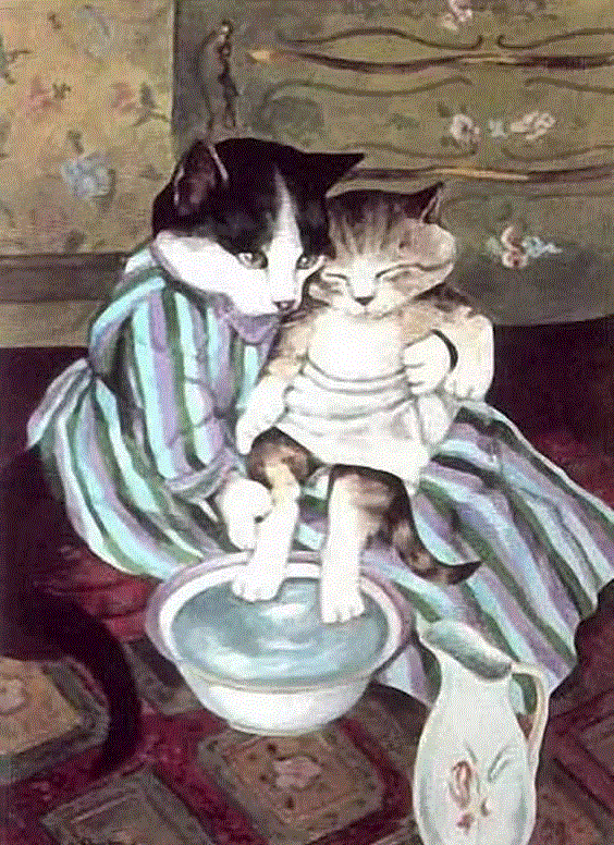 画画、养猫，此生足矣！