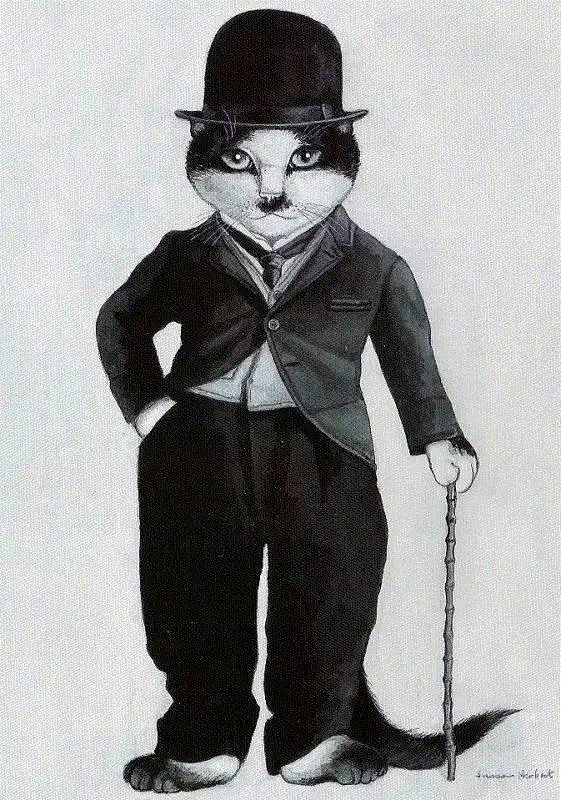 画画、养猫，此生足矣！