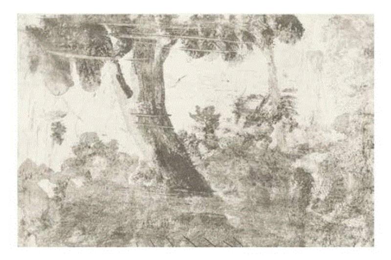 严善錞的西湖铜版画：月印、墨印与心印