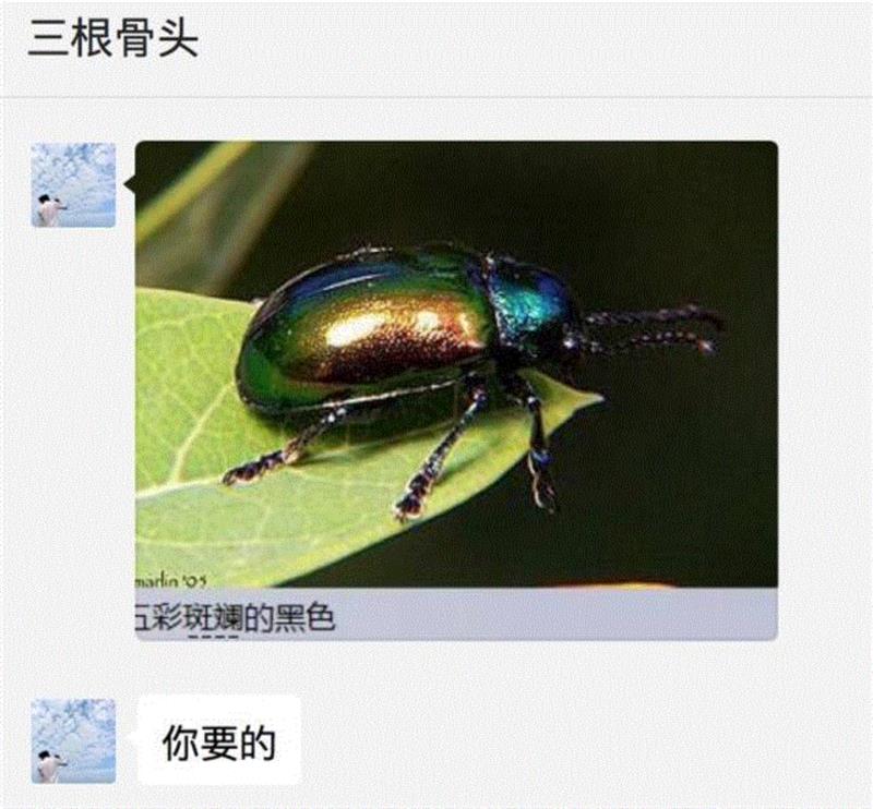 甲方：你看这个LOGO放大的同时能不能缩小一点？