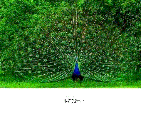 甲方：你看这个LOGO放大的同时能不能缩小一点？