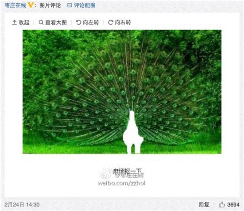 甲方：你看这个LOGO放大的同时能不能缩小一点？