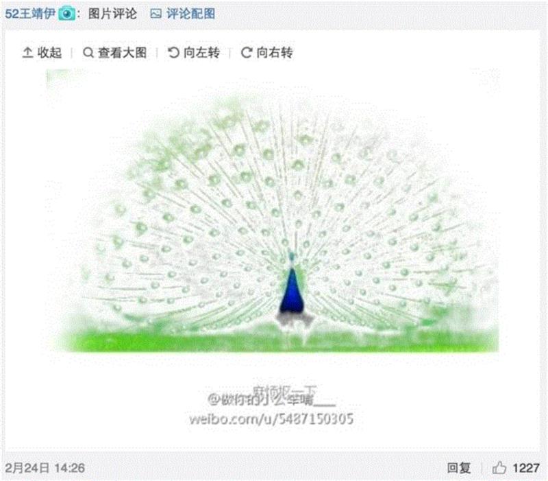 甲方：你看这个LOGO放大的同时能不能缩小一点？