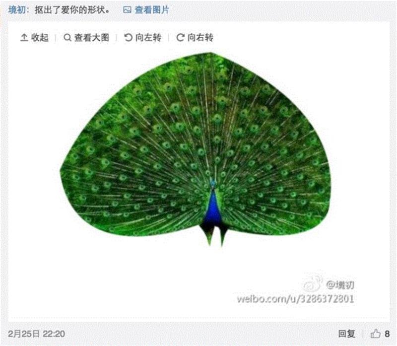 甲方：你看这个LOGO放大的同时能不能缩小一点？