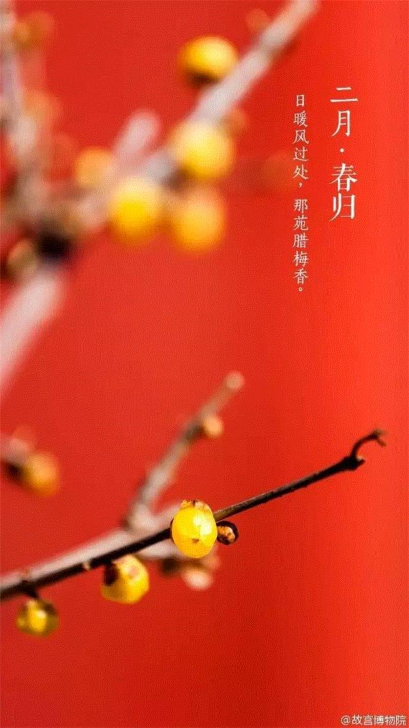 一开花，故宫就美成了御花园！