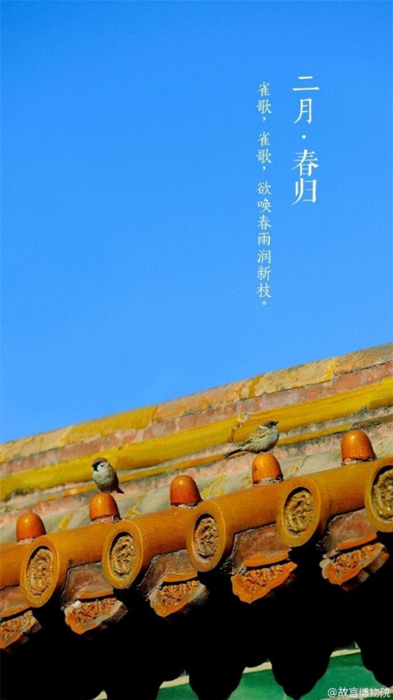 一开花，故宫就美成了御花园！