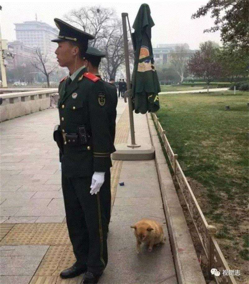 谢谢你爱我