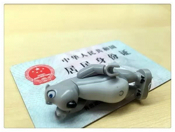 这只霉运缠身的贝肯熊，原来和喜羊羊是一家人！