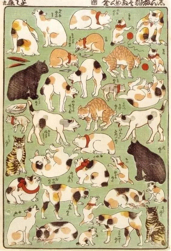 浮世绘大师歌川国芳笔下的猫
