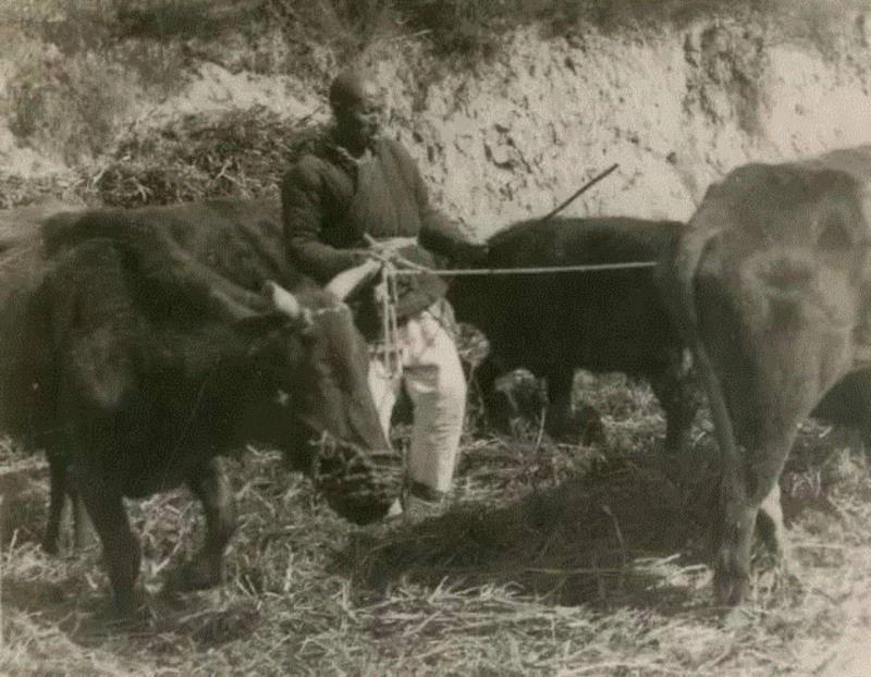 春拍预览|“劳动英雄”吴满有的浮沉人生