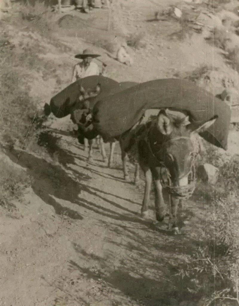 春拍预览|“劳动英雄”吴满有的浮沉人生