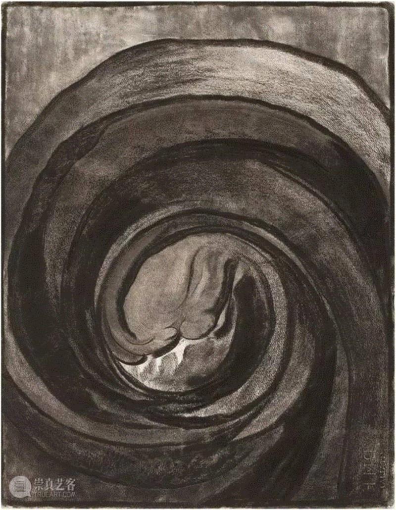 她让你停下来,仔细看一朵花 | 建筑与设计,美食与