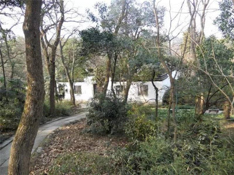 【社史钩沉】孤山南麓的那一面