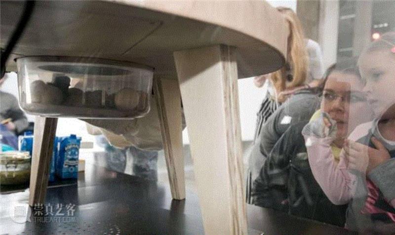 学母鸡孵蛋，把自己关进巨石，这位法国最极端行为艺术家都做了什么？,表演,亚伯拉罕·波因舍瓦尔,Poincheval,Abraham,行为艺术家,行为艺术