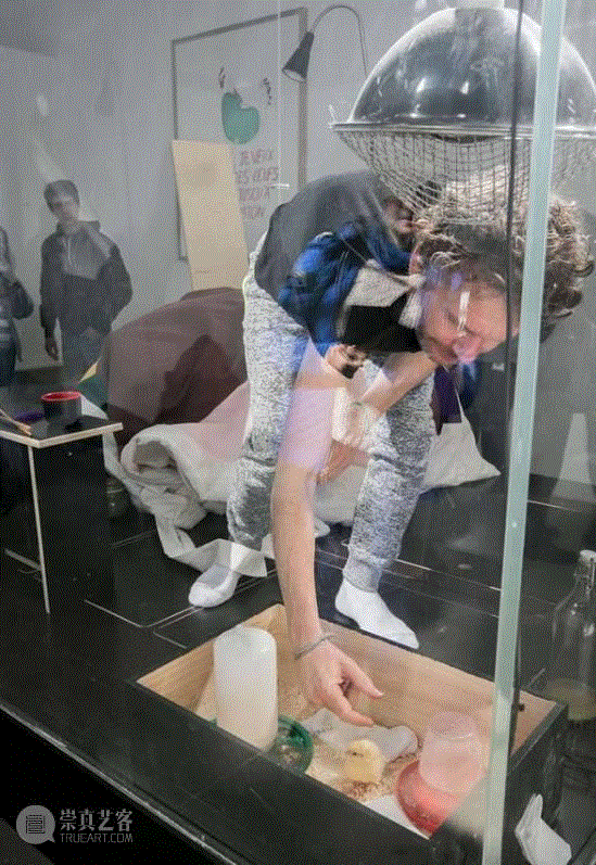 学母鸡孵蛋，把自己关进巨石，这位法国最极端行为艺术家都做了什么？,表演,亚伯拉罕·波因舍瓦尔,Poincheval,Abraham,行为艺术家,行为艺术