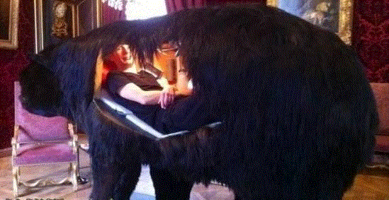 学母鸡孵蛋，把自己关进巨石，这位法国最极端行为艺术家都做了什么？,表演,亚伯拉罕·波因舍瓦尔,Poincheval,Abraham,行为艺术家,行为艺术