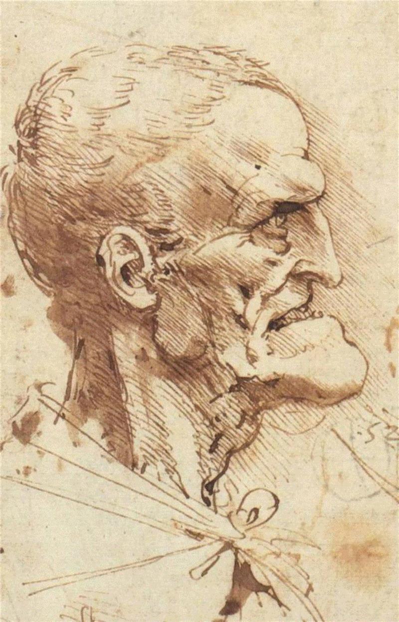 源于达·芬奇的讽刺画 ,讽刺画,达·芬奇