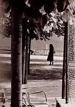 Sophie Calle——我不是在做艺术，而是在玩