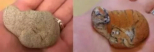 她把石头变动物,整个人都被萌化了