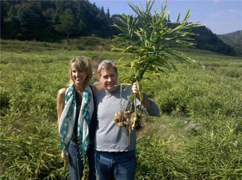 零食的家族，终于有了姜的身影
